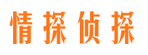 深圳情探私家侦探公司